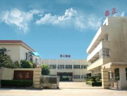 东莞市泰正电线机械有限公司